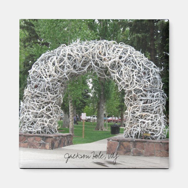 Jackson Hål Antler Arch Magnet (Framsidan)