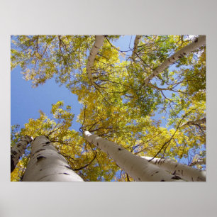 Jackson Hål Wyoming Series Poster