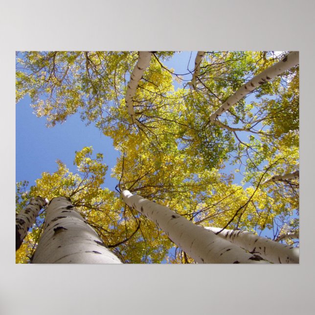Jackson Hål Wyoming Series Poster (Framsidan)
