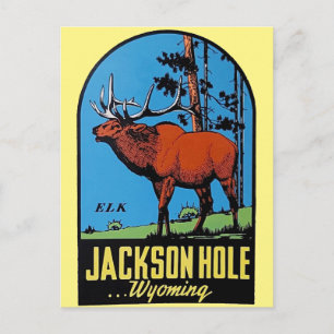 Jackson Hål Wyoming vintage resor vycard Vykort