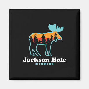 Jackson Hole Wyoming Älg Mountains Grand Tetons Magnet