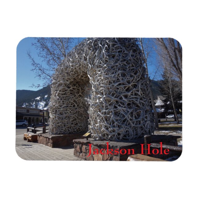 Jackson Hole Wyoming hjärnbågsvalv  Magnet (Horisontell)