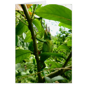 Jackson kameleont hälsningskort
