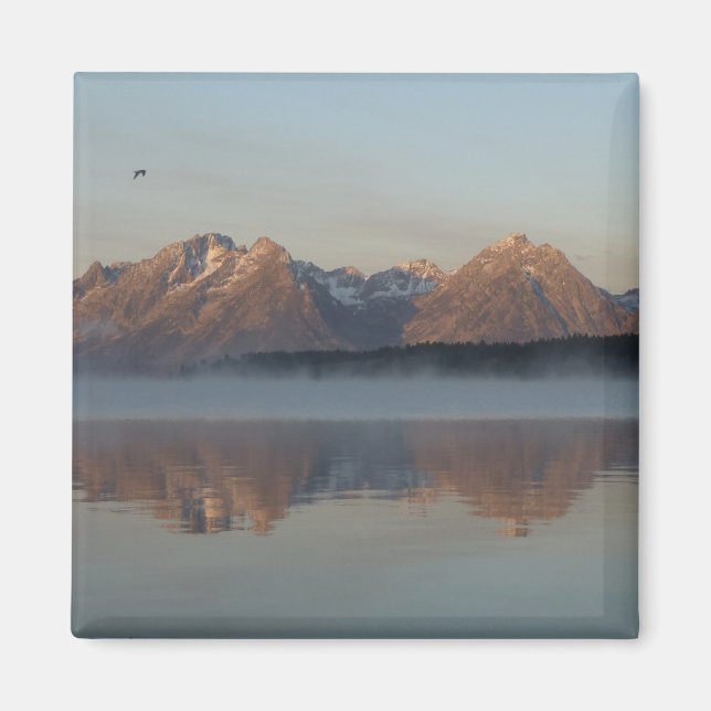 Jackson Lake Damms reflektion i Grand Teton Park Magnet (Framsidan)