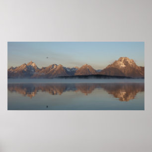 Jackson Lake Damms reflektion i Grand Teton Park Poster