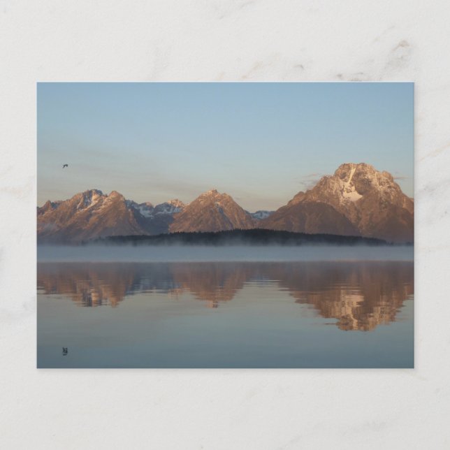 Jackson Lake Damms reflektion i Grand Teton Park Vykort (Framsida)