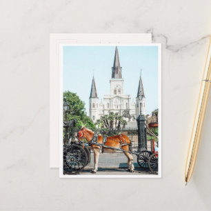 Jackson Square New Orleans Häst Foto Vykort