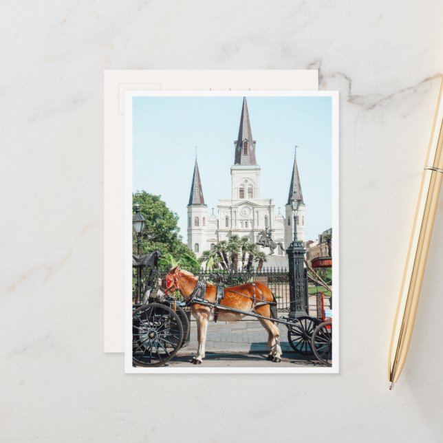 Jackson Square New Orleans Häst Foto Vykort (Fram/Back In Situ)