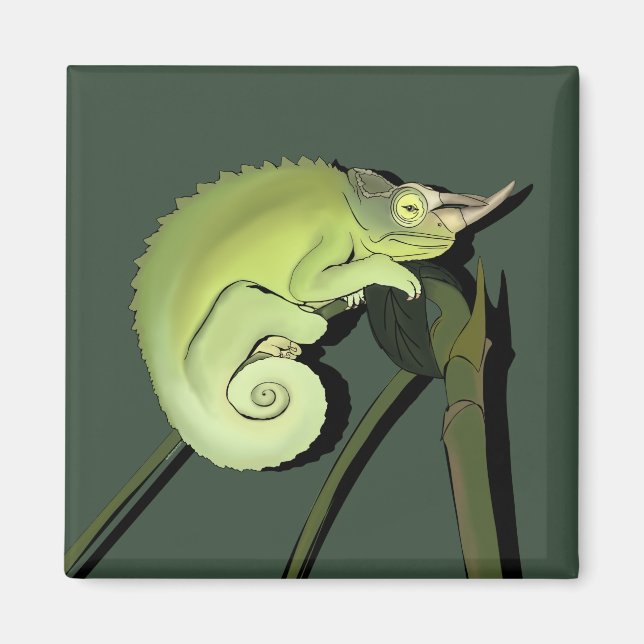 Jackson's Chameleon Magnet (Framsidan)