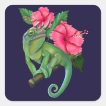 Jacksons Chameleon med Hibiscus