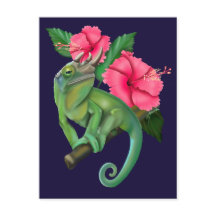 Jacksons Chameleon med Hibiscus