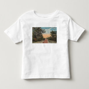 Jacksonville Florida - beskåda av den John Tee Shirt