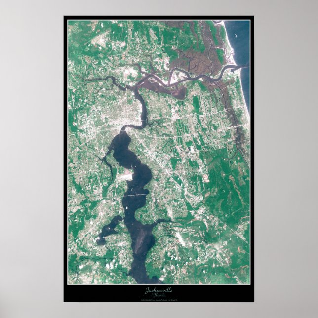 Jacksonville, Florida Satellit Affisch (Framsidan)