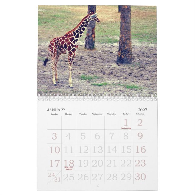 Jacksonville Zoo och trädgårdar Kalender (Jan 2027)