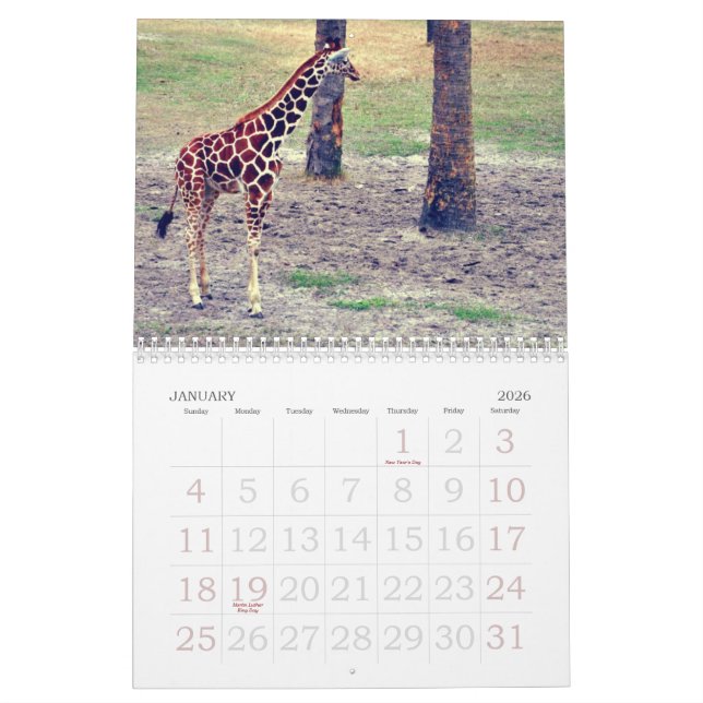 Jacksonville Zoo och trädgårdar Kalender (Jan 2026)