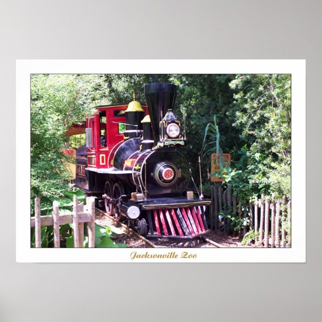 Jacksonville Zoo Poster (Framsidan)