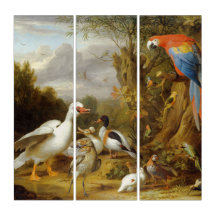 Jacob Bogdani A Macaw Anka Parrots och andra fågla