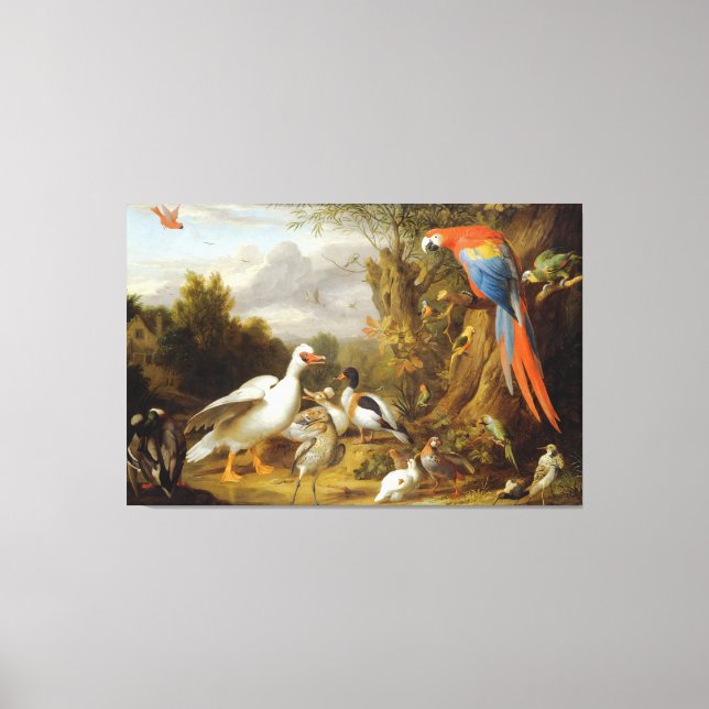 Jacob Bogdani A Macaw Anka Parrots och andra fågla Canvastryck (Framsida)