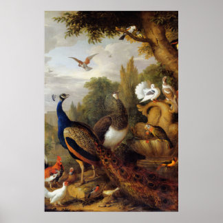 Jacob Bogdani Peacock Peahen Parrots Canary Poster