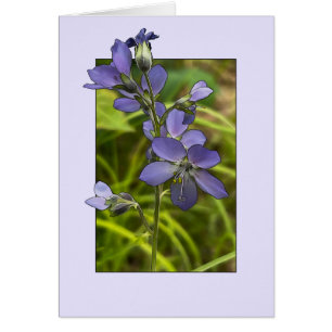 Jacob Ladder - 5 tum x 7 tum Art Card Hälsningskort