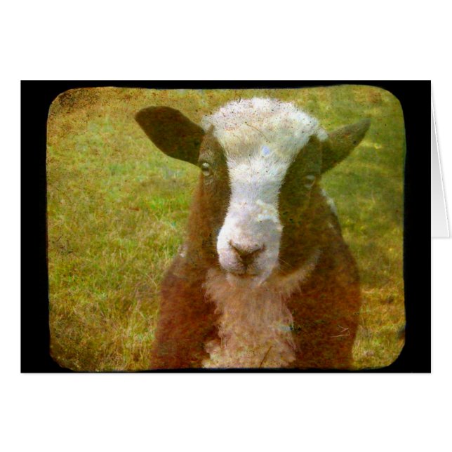 Jacob Lamb Hälsningskort (Framsidan Horizontal)