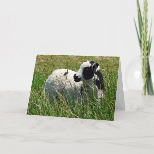 Jacob Ram Lamb, Påsk Helgkort