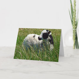 Jacob Ram Mors Dag Kort