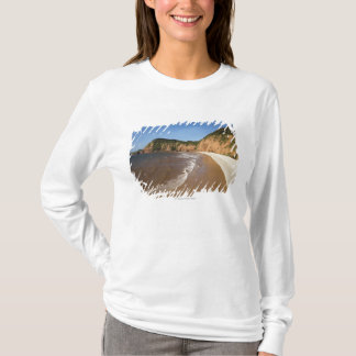 Jacob stegefjärd tee shirt