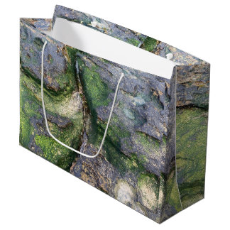 Jade Green Mossiga Strandsten Toowoon Bay