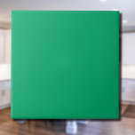 Jade Grönt Solid Färg | Klassisk | ELEGANT Kakelplatta<br><div class="desc">Jade Grönt Solid Färg | Klassisk | ELEGANT | TRENDIG | SNYGGT | Gått</div>