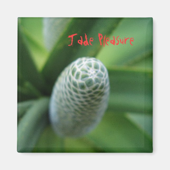 Jade Pleasure Magnet (Framsidan)