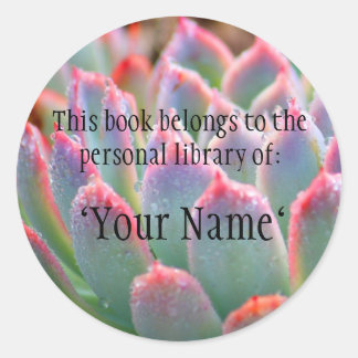 Jade Succulent Personal Bibliotek Sticker Runt Klistermärke