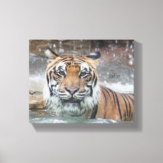 Jafar Canvastryck (Framsida)