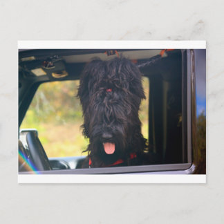 Jag äger den här jeepen vykort