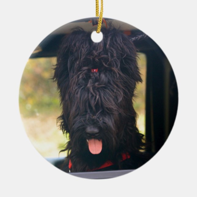 Jag äger denna jeep julgransprydnad keramik (Framsidan)