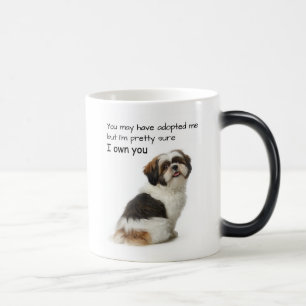 Jag Äger Dig Shih Tzu Magisk Mugg