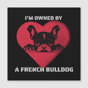 Jag ägs av en fransk bulldogg
