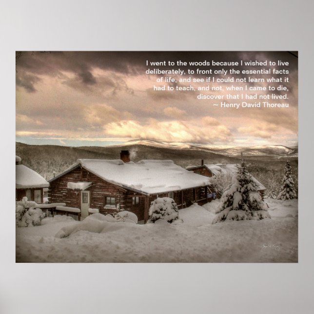 Jag åkte till Skogen Poster (Framsidan)