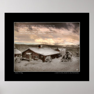 Jag åkte till Skogen, Thoreau Poster