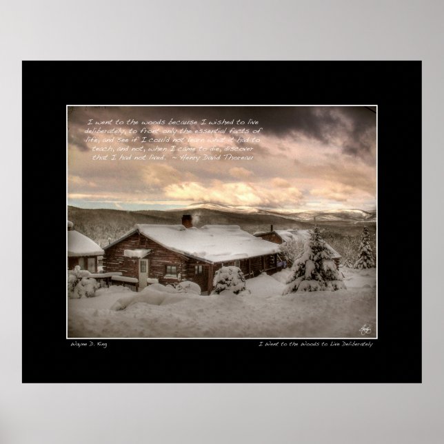 Jag åkte till Skogen, Thoreau Poster (Framsidan)