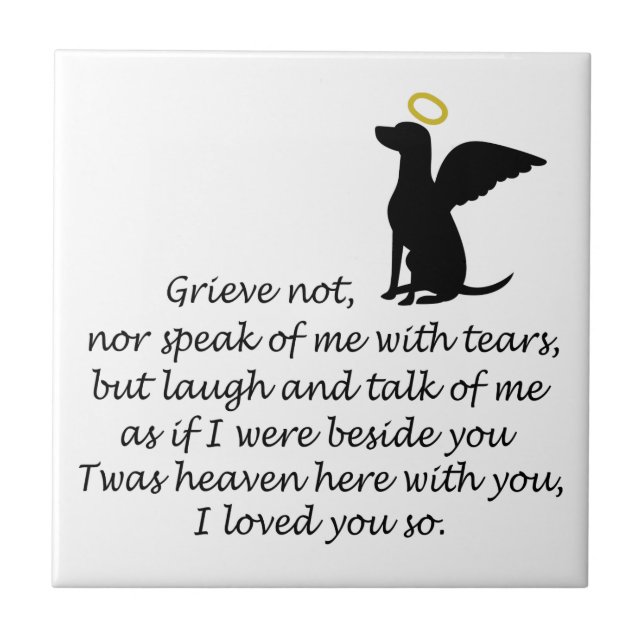 Jag älskade dig så kakelplatta (Framsidan)