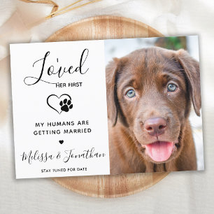 Jag älskade henne först Modernt husdjur foto Hund Meddelande