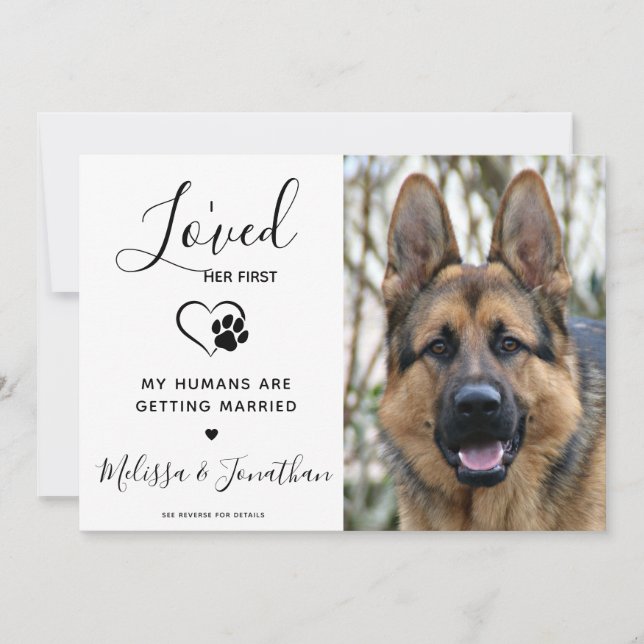 Jag älskade hennes första moderna QR-kod Pet Hund  Inbjudningar (Framsida)