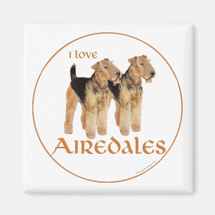 Jag älskar airedalerterrier magnet