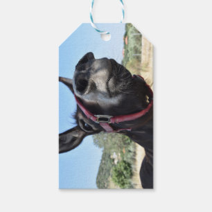 Jag älskar åsnor! presentetikett