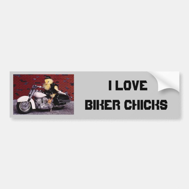 Jag älskar bikerchickar bildekal (Framsidan)
