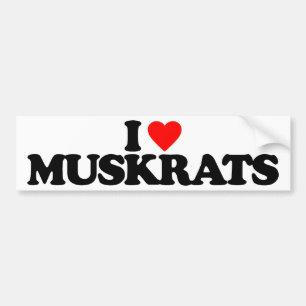 JAG ÄLSKAR BISAMAR BILDEKAL