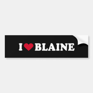 JAG ÄLSKAR BLAINE BILDEKAL
