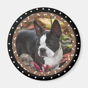 Jag älskar boston Terrierhundar Magnet