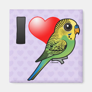 Jag älskar Budgies Magnet